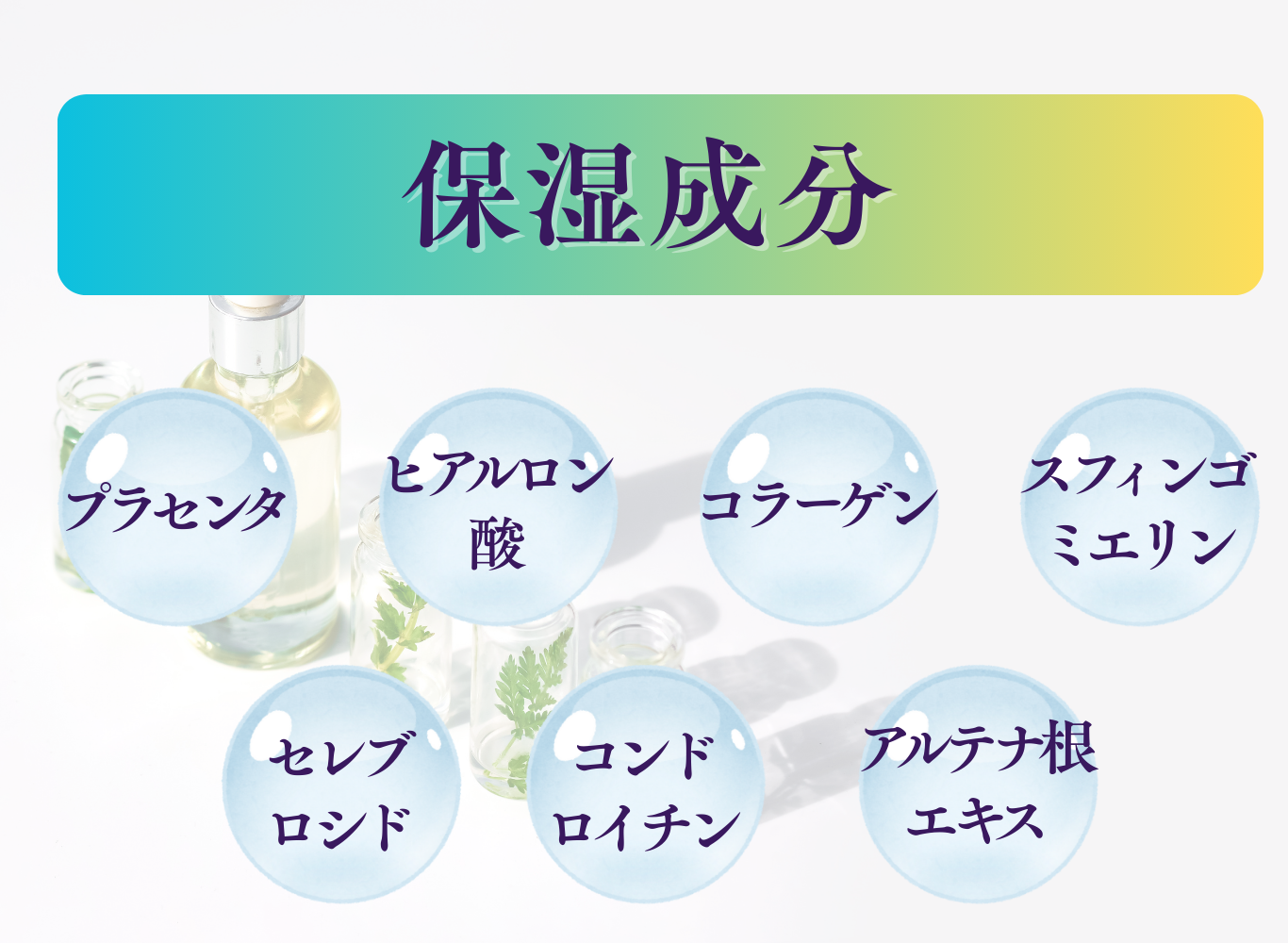 KiKiK Jewel 美容成分 乳酸菌 酵母 コメエキス シルクなどを配合したオールインワンゲル